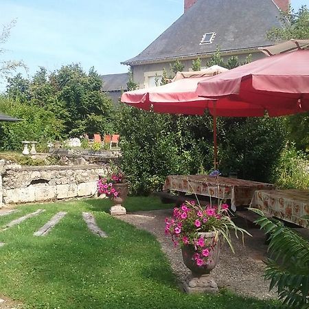 Le Moulin Du Modon Proche Du Zooparc De Beauval Acomodação com café da manhã Couffy Exterior foto
