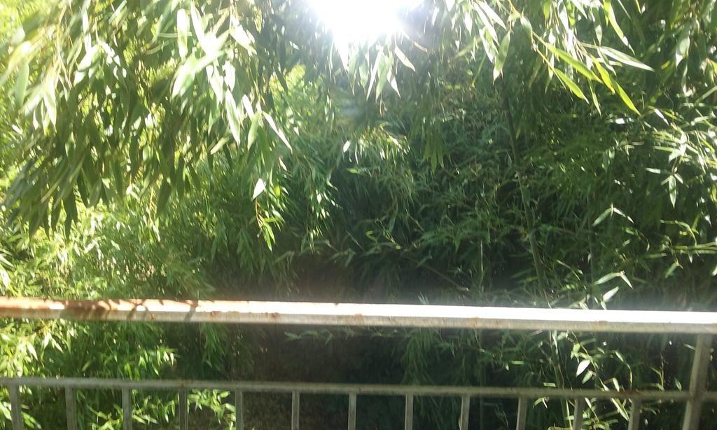 Le Moulin Du Modon Proche Du Zooparc De Beauval Acomodação com café da manhã Couffy Exterior foto