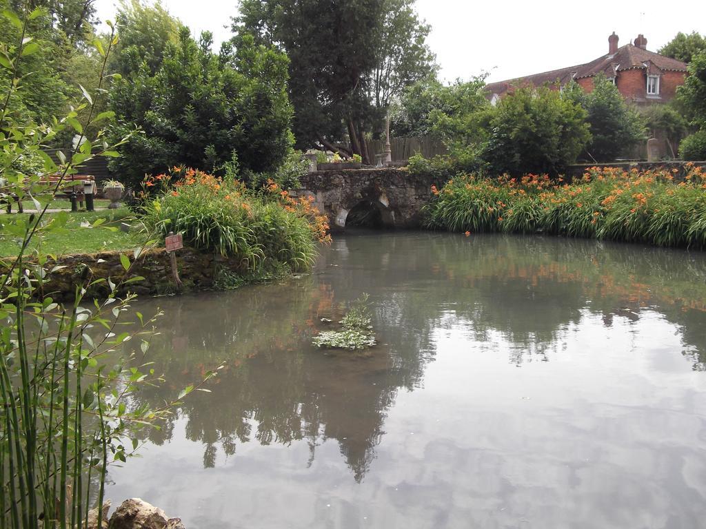 Le Moulin Du Modon Proche Du Zooparc De Beauval Acomodação com café da manhã Couffy Exterior foto